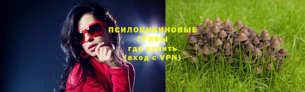 метамфетамин Няндома