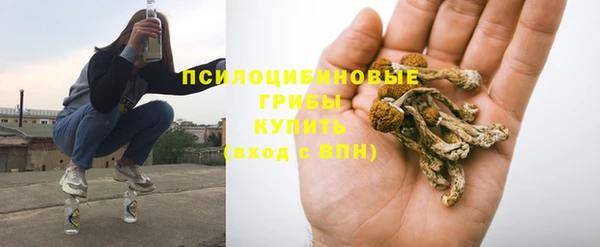 стаф Аша