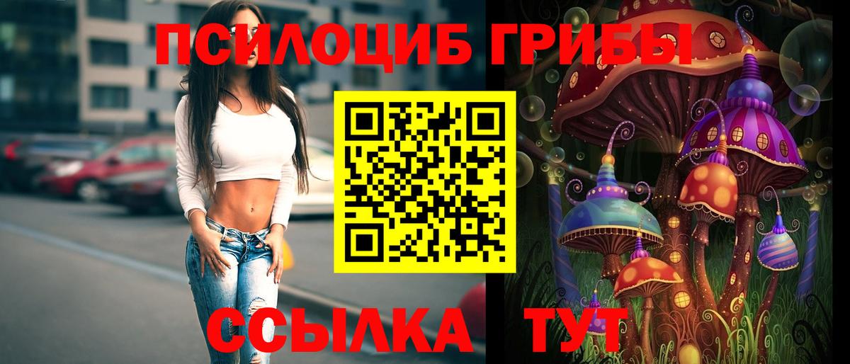 Псилоцибиновые грибы Psilocybe Череповец