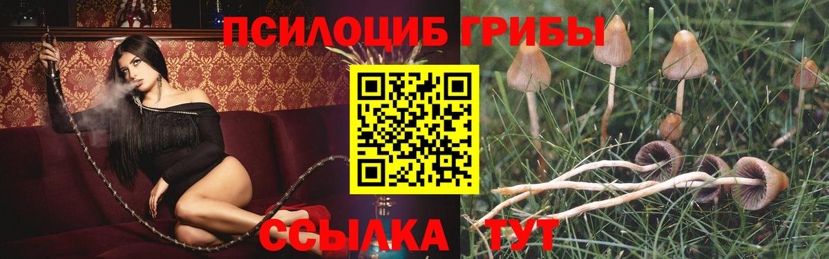 Череповец  Псилоцибиновые грибы ЛСД  Галлюциногенные грибы GOLDEN TEACHER  Вход с VPN 